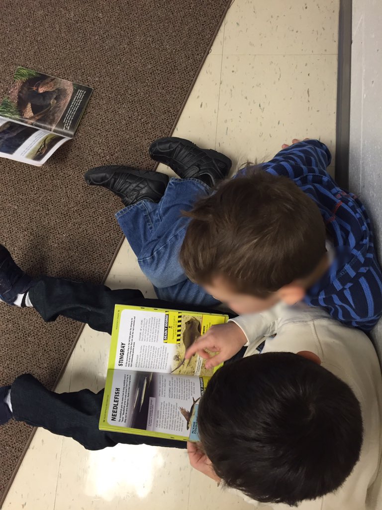 mrsmacrisclass's tweet photo. Literacy, literacy, literacy! #readingtosomeone #listeningtoreading https://t.co/V5eqiXkW7m