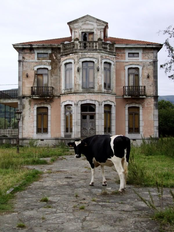 Abandoned In the Asturias region of northern Spain.
