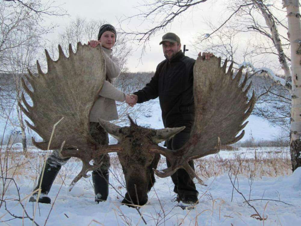 BGIMag's tweet photo. Absolutely amazing bull!
#monstermoose https://t.co/7hKjevsuAO