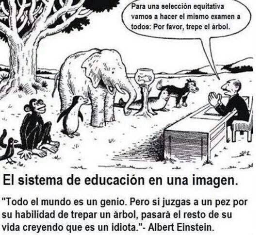 voyaverlo's tweet photo. totalmente de acuerdo https://t.co/ejAQb5ycZ2