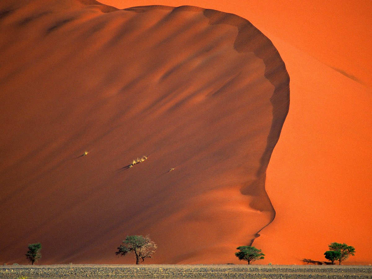 Namib Desert - Red sand dunes and skeletal trees make Namibia the closest thing we have to Mars on Earth.