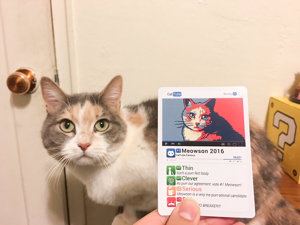 Shandiin tweet media