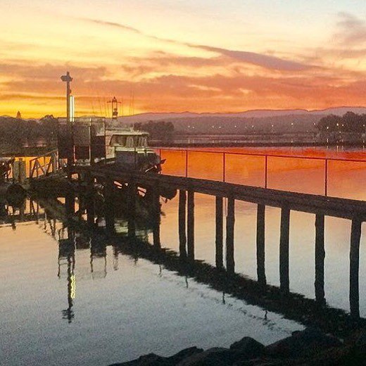 SapphireCoastNSW tweet media