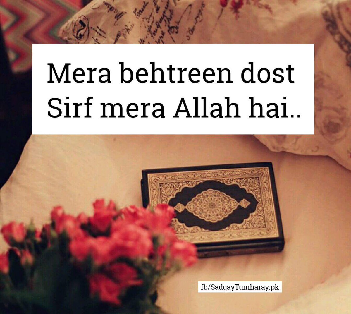zonahib's tweet photo. https://t.co/iKGaYT7eJx