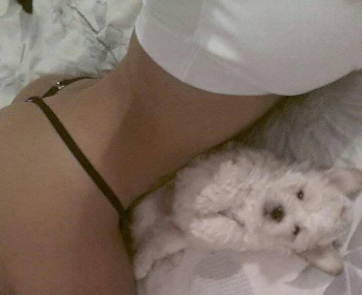 AlejandraC230's tweet photo. #SabadoDeGanarSeguidores Besos para ellos siempre, Para lo demás todo 😍 https://t.co/rTeM2LM5It