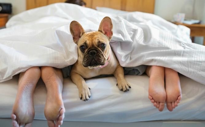 asuu tenan akun iki :D RT <a href="/TipahThePom/">Tipah</a>: Aku kudu piye?