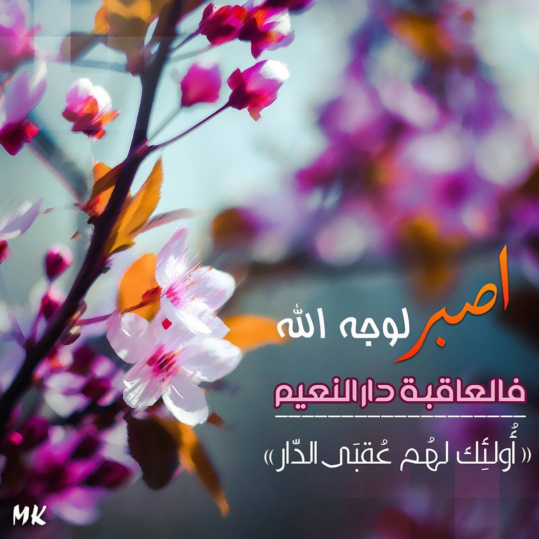 لسنا سوى ارواح ستقبض في أي لحظة
فيارب نسألُك حُسن العاقبة
والثبات على ولاية امير المؤمنين علي بن ابي طالب (ع)
<a href="/rt_2s/">للملـMirza hyderـيون</a>