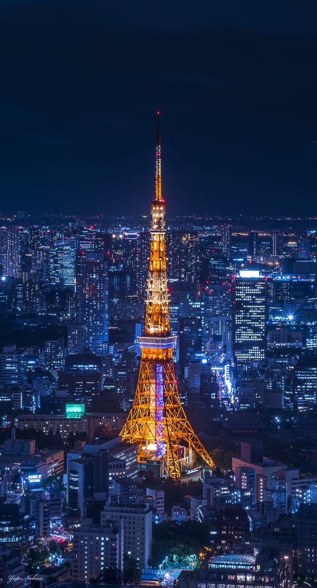 ベスト東京タワー 夜景 壁紙 Iphone 最高の花の画像