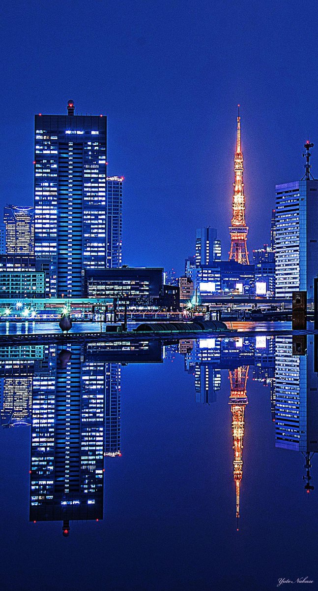 Yuto 写真家 東京タワー大好きです 六本木ヒルズからと晴海ふ頭からの夜景です スマホの壁紙として使用できるサイズです Iphone壁紙 ニッポンを撮る 東京タワー 六本木ヒルズ 晴海ふ頭 夜景 T Co Mb7eopip