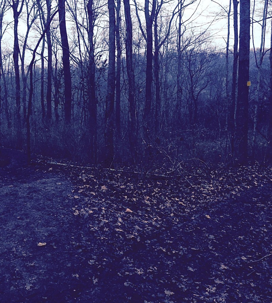 RevBeccaStevens's tweet photo. #epiphany is the feeling of knowing which way to go at the fork. #leadbythespirit https://t.co/HYCF0fMQHZ