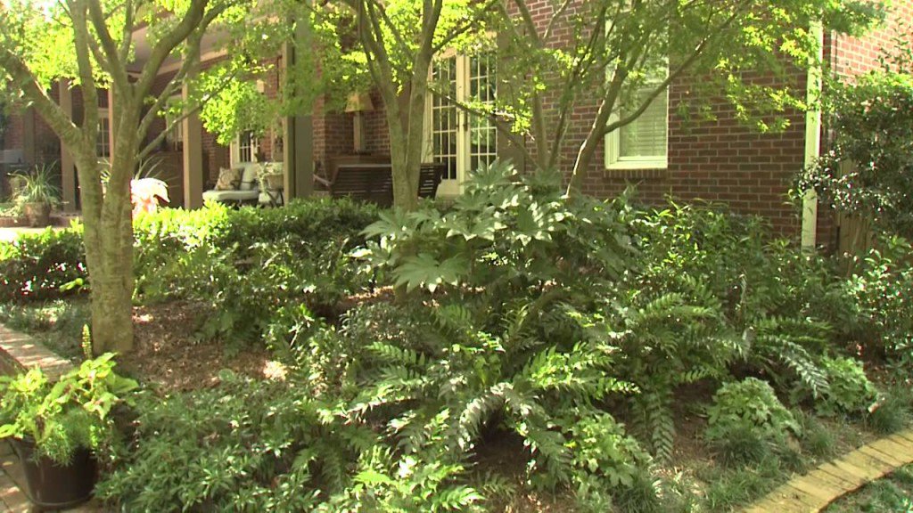 EmpireOfRelax's tweet image. goo.gl/ZJBlG0 --&amp;gt; Cool and Relaxing - Southern ... #ExtensionService #JungleNoiseComingFromJungle