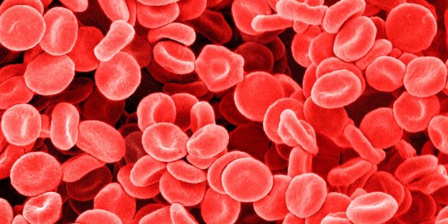 Scientists bust myth that our bodies have more bacteria than human cells ow.ly/WPs1k