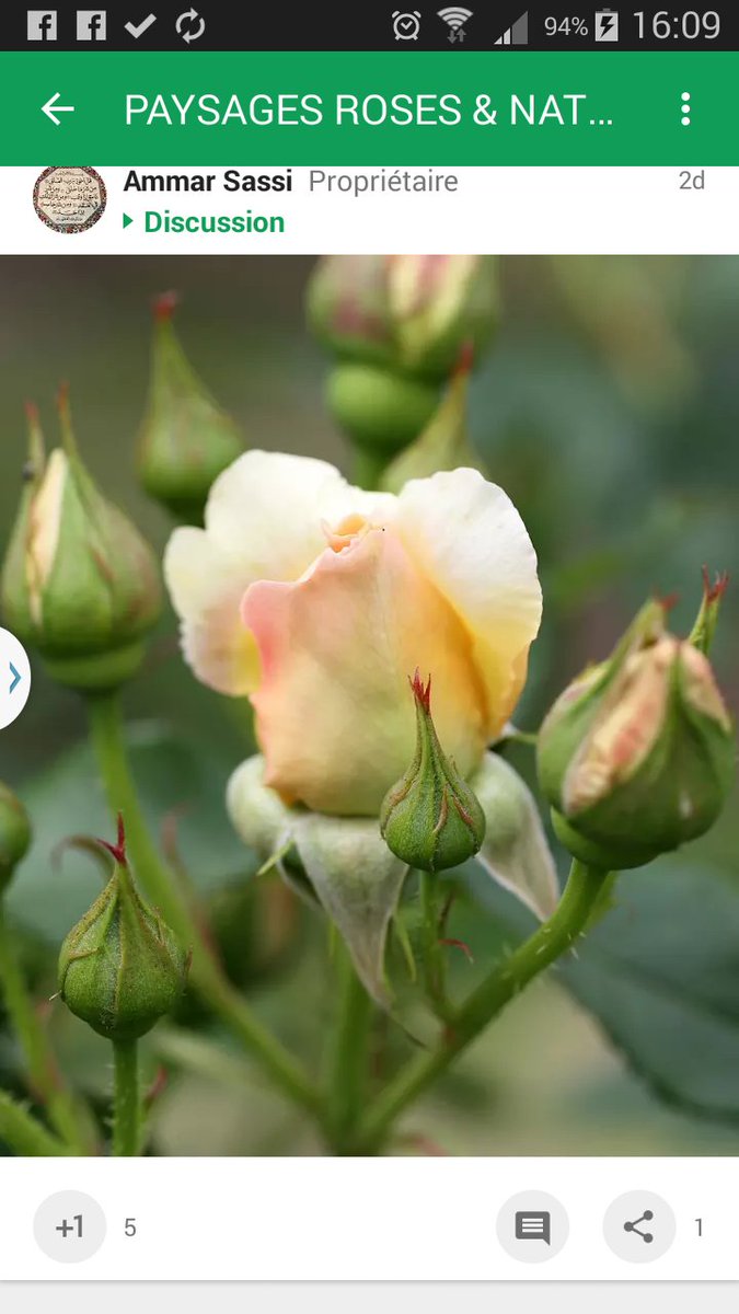 Bonjour je vous souhaite un agreable samedi