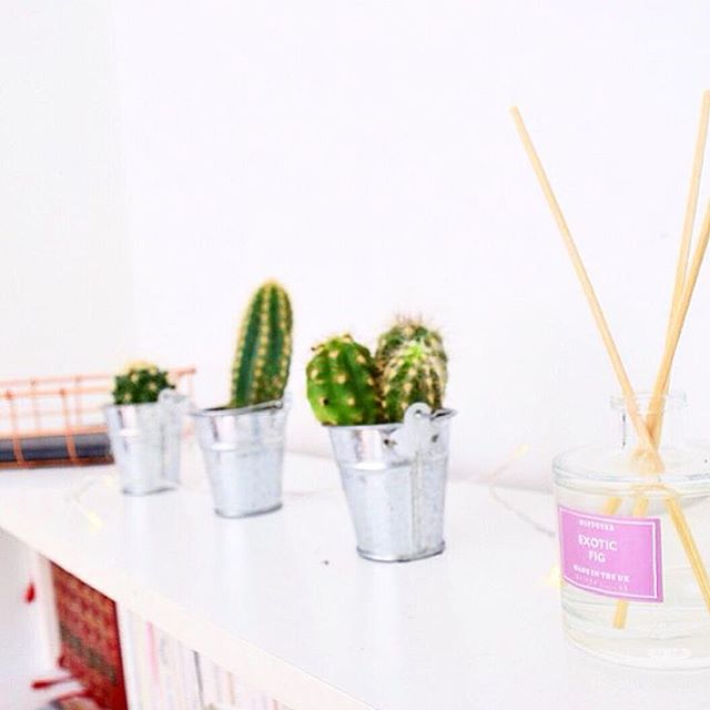 Vivement que le printemps arrive! #tigerfrance #tigerstoresfr #tigerhome #tigerdecoration
Crédits photo: <a href="/powpies/">Smiley</a>