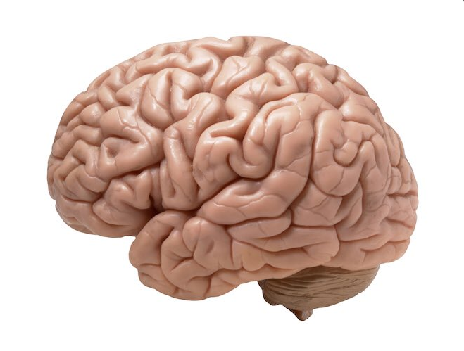 CauseWereGuys's tweet photo. The "I'm not voting for Hillary Clinton" starter pack https://t.co/fmftjH5Kzc