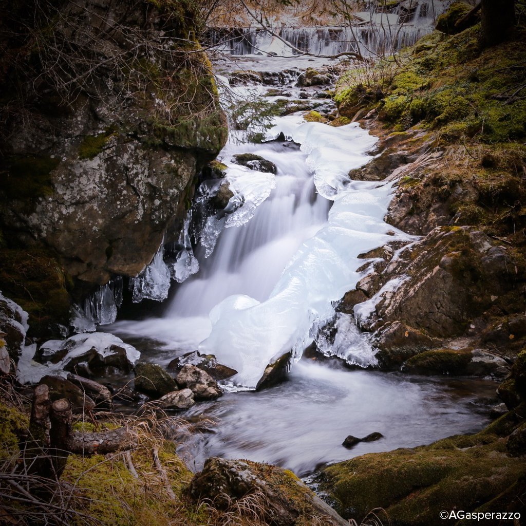 CanonAustralia's tweet image. '#ICE, ICE BABY!' by @AGasperazzo