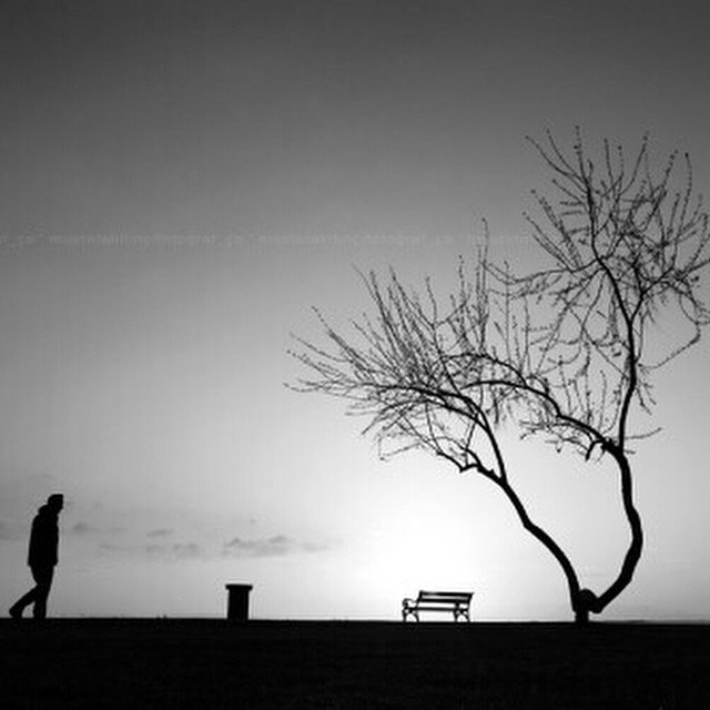 Sevmeyi bilen adamlara acı çektirmeyin.
Sonra bir şiir yazıyorlar, hepimiz dertleniyoruz.

- Serdar Tuncer