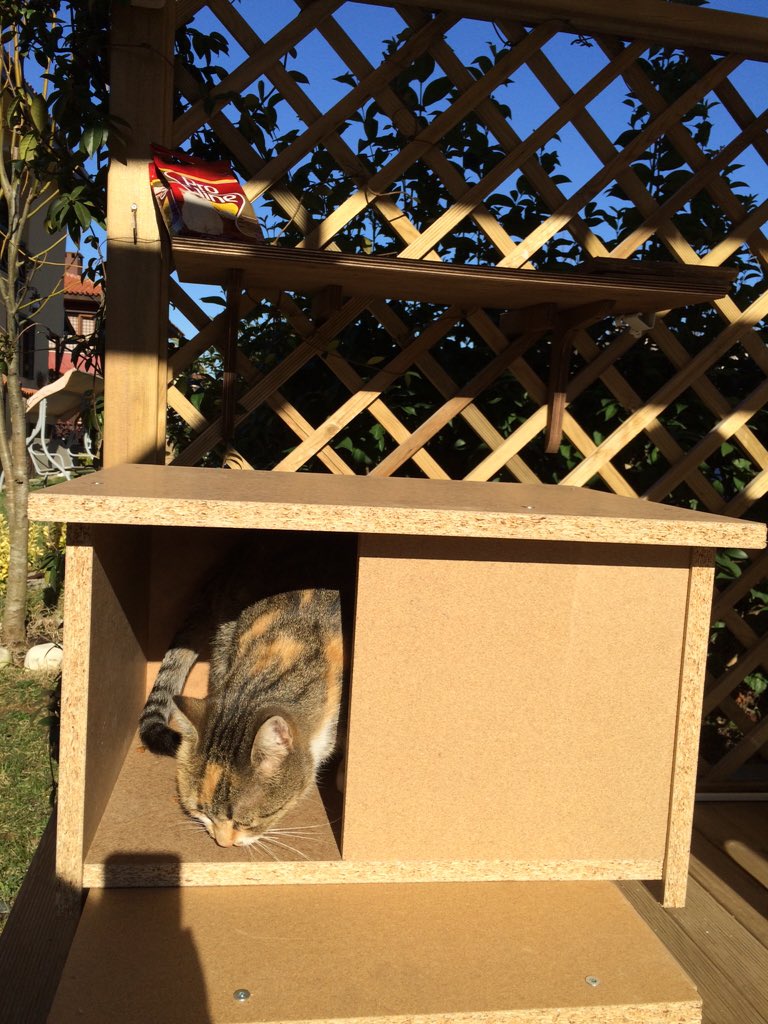 Teşekkürler #kedievimadoreden #bukışgeçerüşümeden can dostlarımızı koruduğunuz için