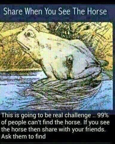 SarahsAloe's tweet photo. Can you see it?
#game #quiz #canyouspotit #eyetest #fun #entrepreneur #Family #RT #followme https://t.co/mue8HYswEo
