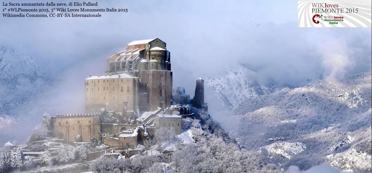 Accesso ad Internet tweet media