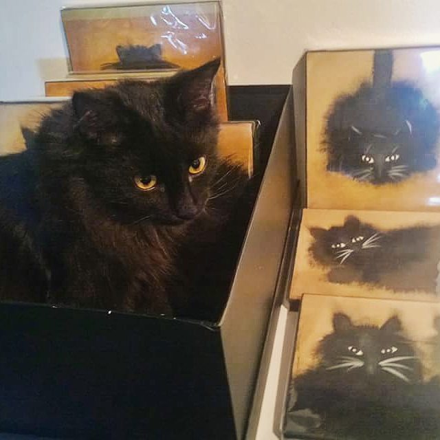 Purnauskis's tweet photo. Piki-Nemu's long lost family? 😁
#pikinelli #purnauskis #kissakahvila #catcafe #blackcat #b… https://t.co/kYE6kguVcK https://t.co/8HQ3U8kr9K