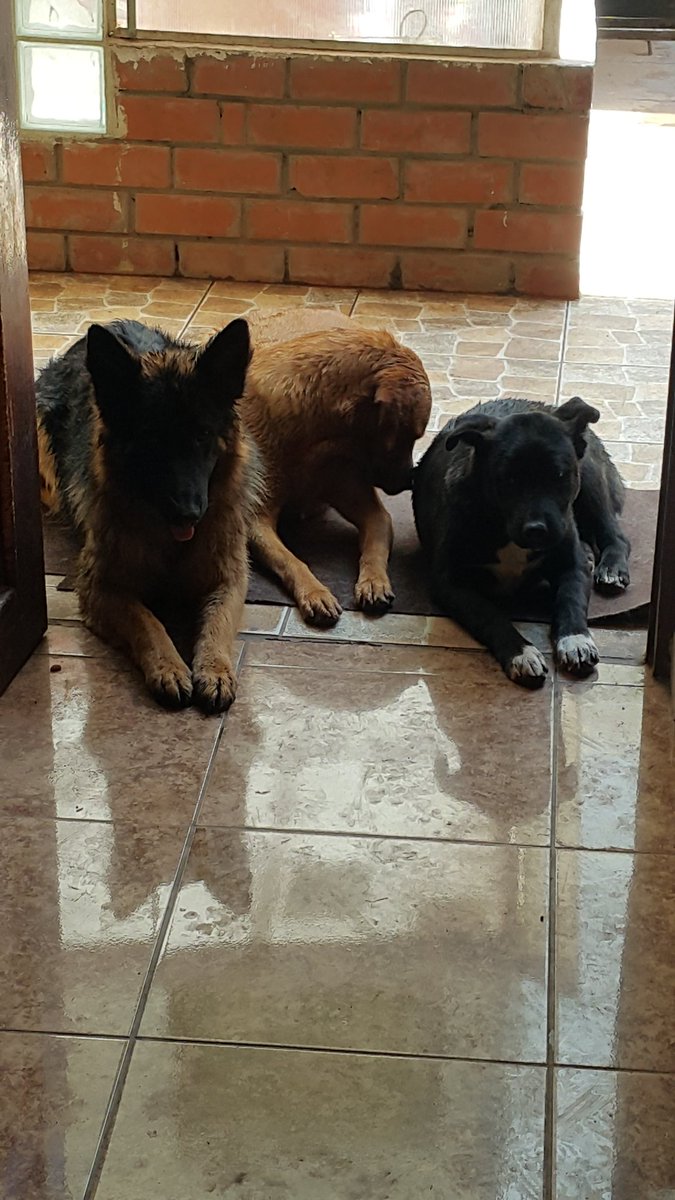 3JaimeHuerta's tweet photo. Cada dia mas grandes mis bbs !! https://t.co/o8C4zQf3Je