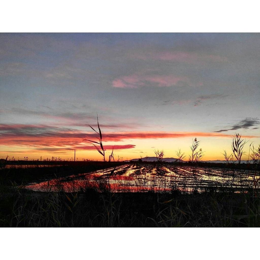 cat_testimo's tweet photo. Tarda x el Delta #deltadebre #catalunyagram #catalunyaexperience #delta #catalunya #catalonia #visitcatalonia #vist… https://t.co/rQu2n61qiy