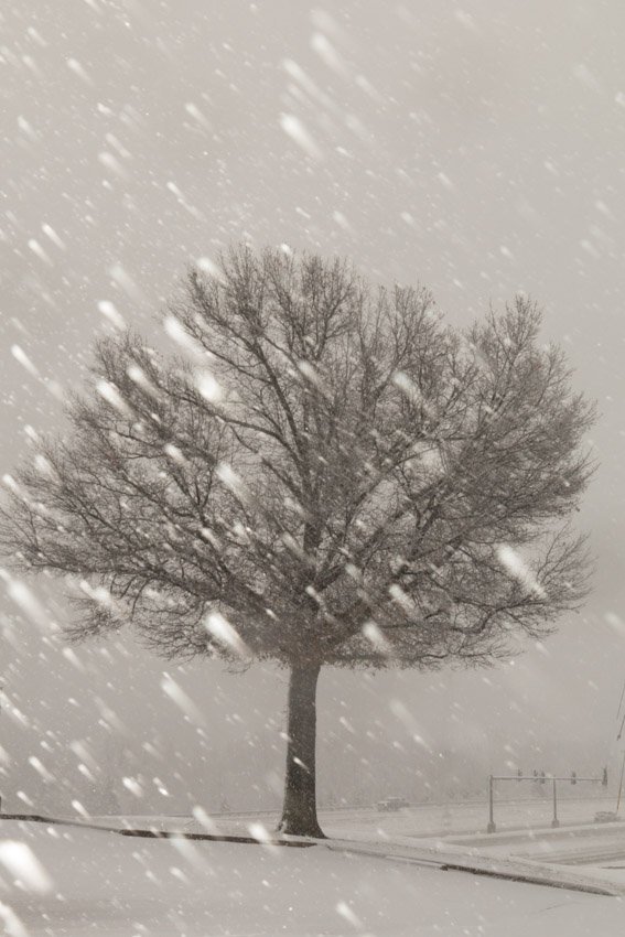 Lee DeBroeck tweet media