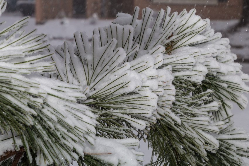 Lee DeBroeck tweet media