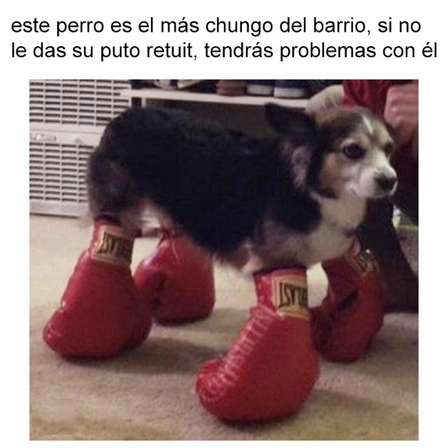 yo no m lo pensaría dos veses