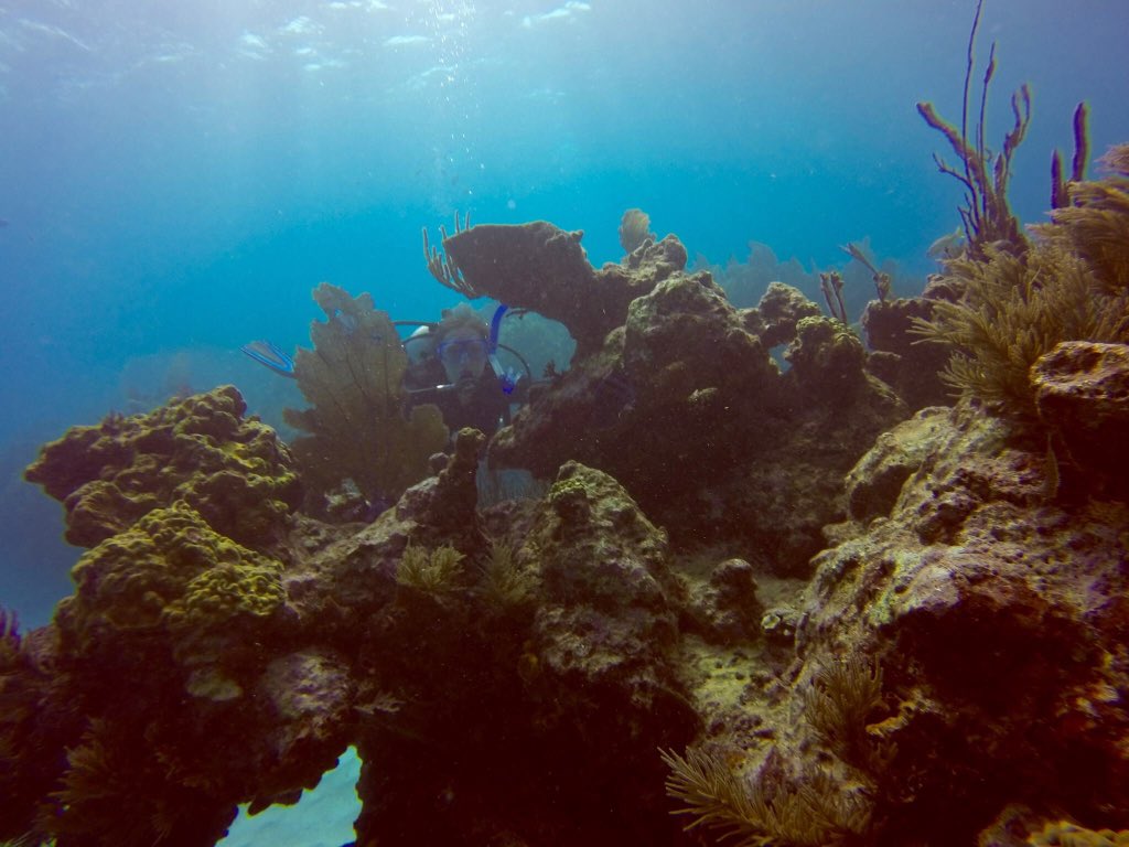OceanDiversIDC's tweet photo. Thanks for coming! #scuba RT @cmazur_rocks: Thanks @OceanDiversIDC for an awesome week of diving. #ProjectDeep https://t.co/VNQx7qGk8q