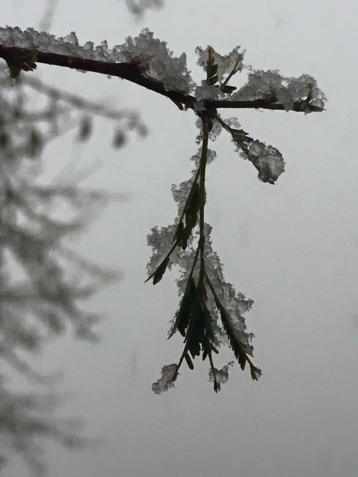 HTPDonna's tweet photo. Winter in the southwest. #HappyNewYear from #HelloTherePhotography https://t.co/uUpiaaUani https://t.co/1bXbCgUA7H