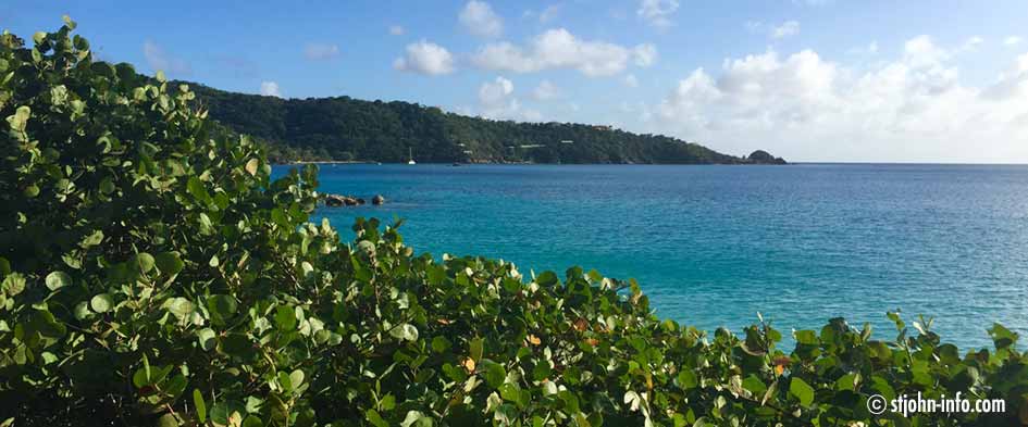 StJohnInfo's tweet photo. New York Times ranked Coral Bay as #4 of the top 52 places to visit in 2016. #stjohn https://t.co/L6NQQuvH0G https://t.co/MzGUmjuO0m