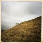 Photo by Brighton Dog (@DogBrighton)