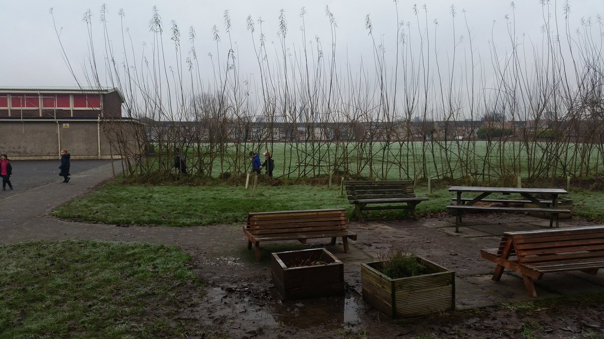 MorayP4S's tweet photo. @MorayPS We went on a walk around the school to see the effects winter had on our surroundings #wintervsummer https://t.co/hVzPhtSN4o
