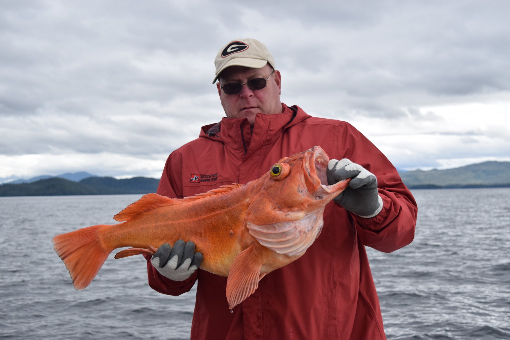 Naukati Bay Adventur on Twitter "Another fine day plying the waters of