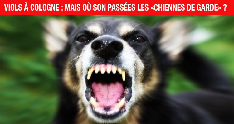 Permalien de l'image intégrée