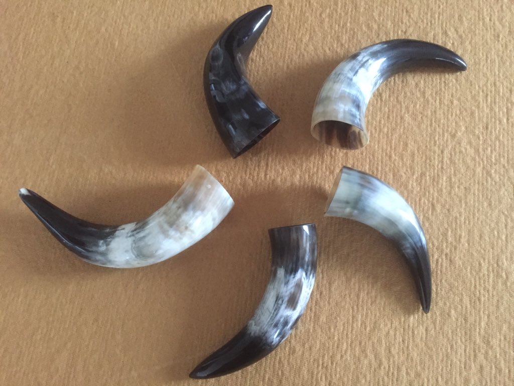 _Present2Day's tweet image. Hoorns van de Aziatische waterbuffel. Te vinden in onze webshop present2day.com