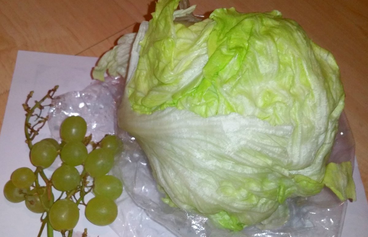 TanukiPanda89's tweet image. #GronkhTv Heute lass ich es mal richtig Krachten und feier Hart beim Strööm #Yolo xD #HasenFutter #VorPansicher