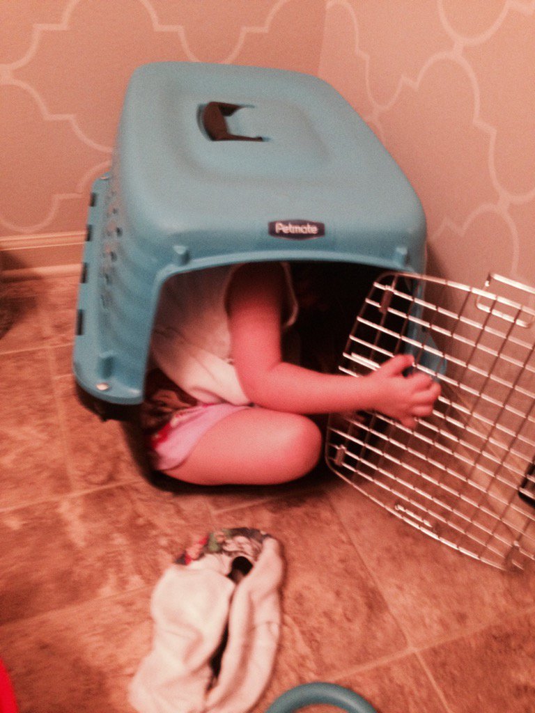 JaeReidStyle's tweet photo. Hide and seek... https://t.co/HVpIU0Aezy