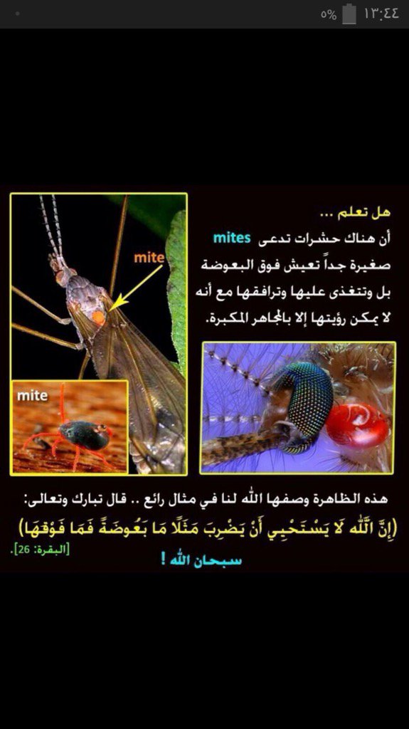 ahmedmohd2012's tweet image. 