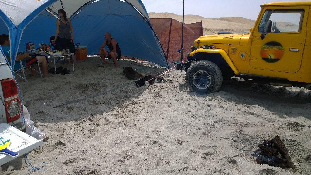 CallithrixApe's tweet image. 