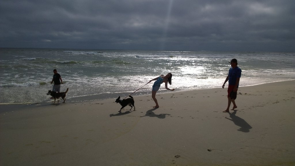 CallithrixApe's tweet image. 