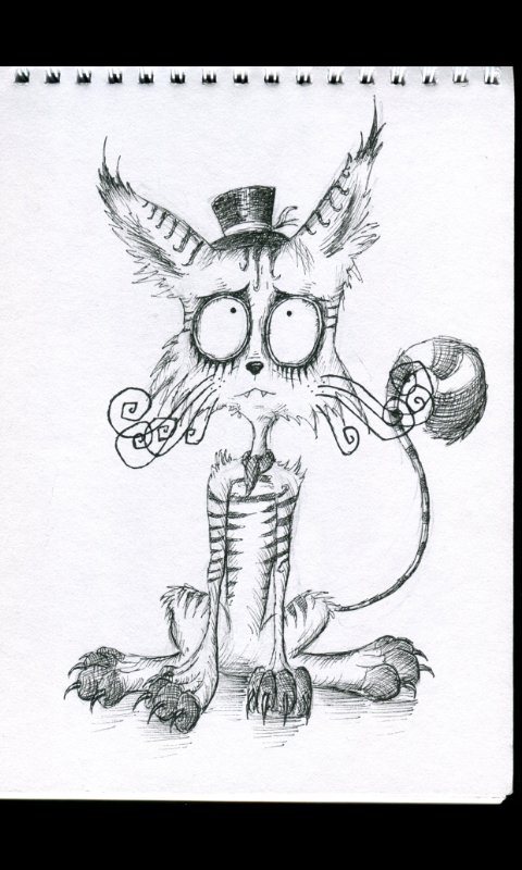 SkeletonJacky's tweet photo. Katze mit Hut #CatWitHat #TimBurtonCat #ArtistsOfTwitter #TimBurtonStyle #Drawing #Cute #CatDrawing #CrazyHatter https://t.co/JXCmJLvZ45