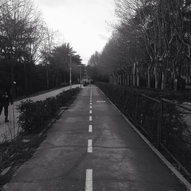 EchoBox UCM tweet media