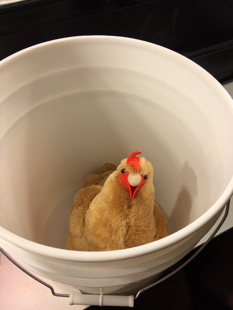 ComicThread's tweet image. Eggberta is ready for her big @Stage773 @ChgoSketchfest debut! @HeronAgency #Sketchfest2016