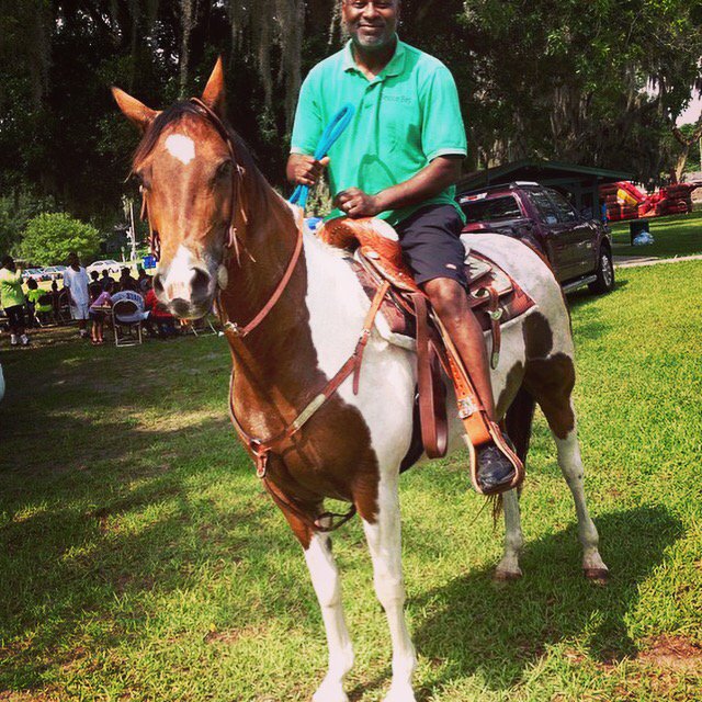 bounceboy813's tweet photo. We're not lying when we say we can make your party spectacular! We'll bring beautiful #horses to your event #Tampa https://t.co/75eYTttnFd
