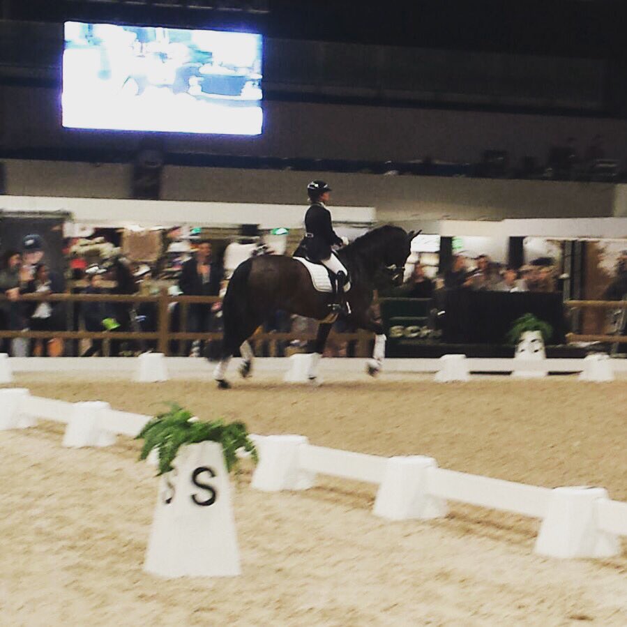 Bitpaarden's tweet photo. Bit Talent v vorig jaar Anne Lehman komt ook gezellig langs! #BitTalentVanHetjaar https://t.co/RYmOs3OLtG