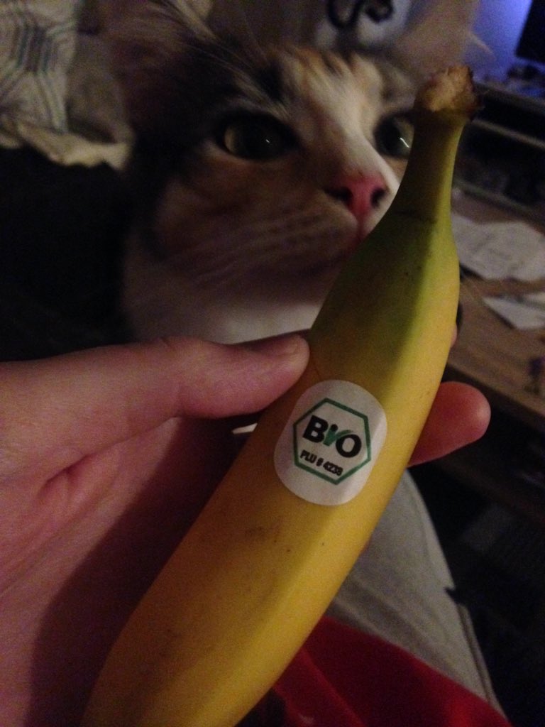 MacellusWallace's tweet photo. #geilnebanane https://t.co/66pVLL8lQf