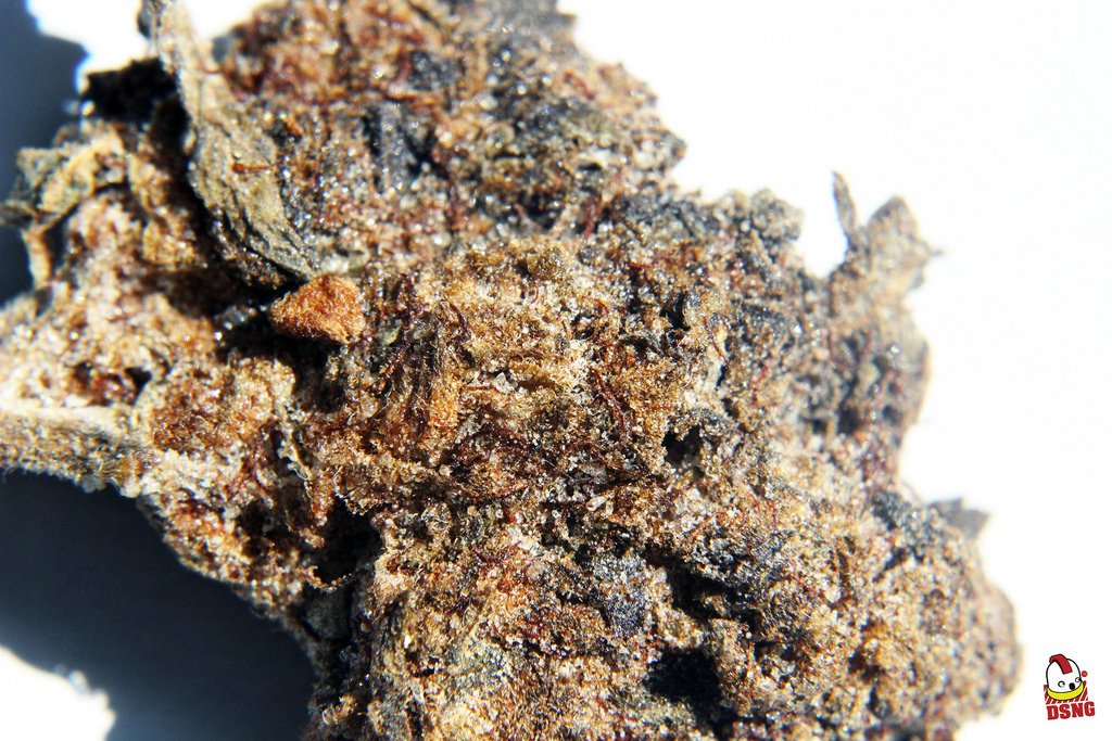Trichs #weed #cannabiscommunity #cannabis #marijuana